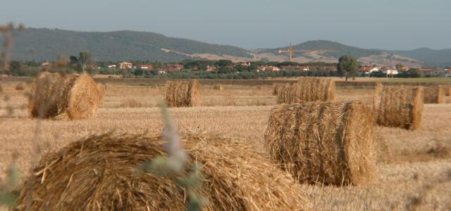 Azienda agricola Nuova Sant'Anna srl