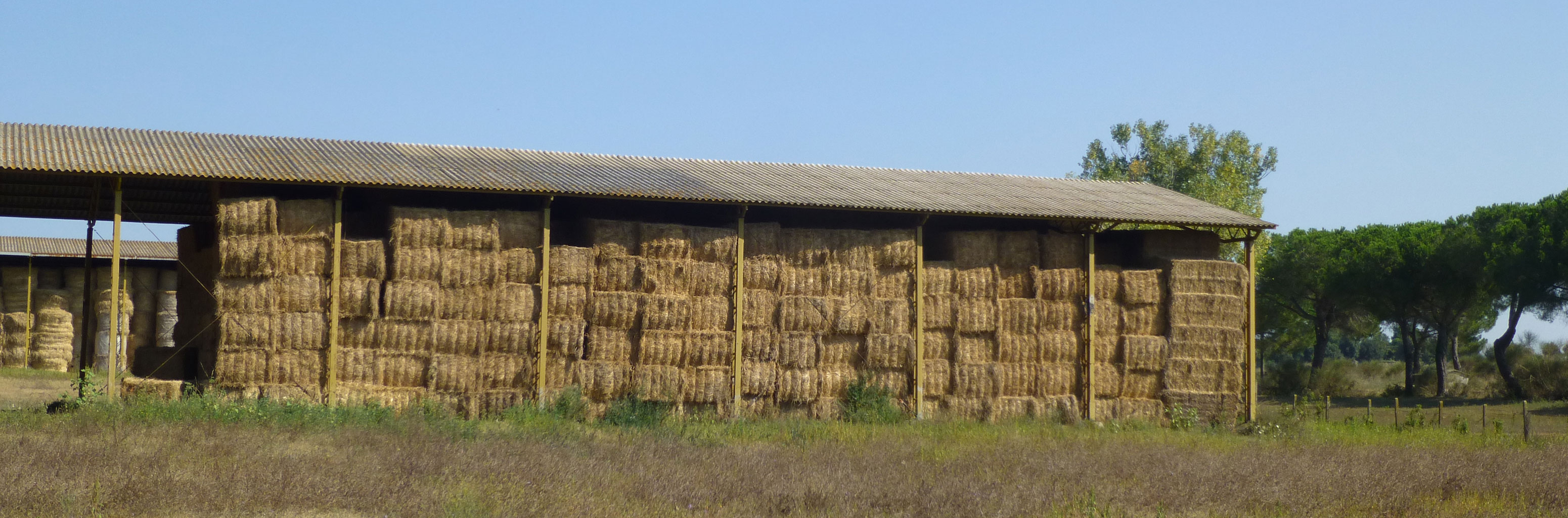 Azienda agricola Nuova Sant'Anna srl